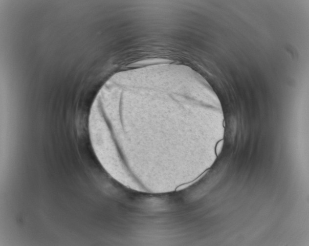 X0000112810236200910021147