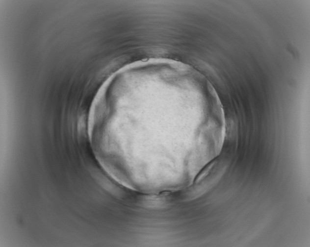 X0000112810238200910021147