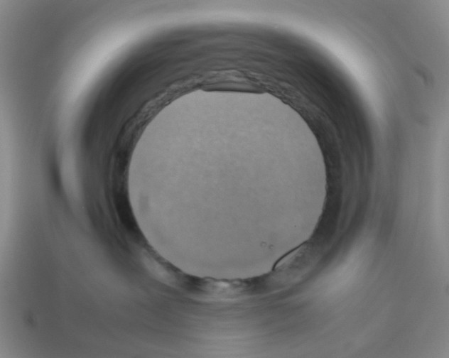 X0000112810239200910021147