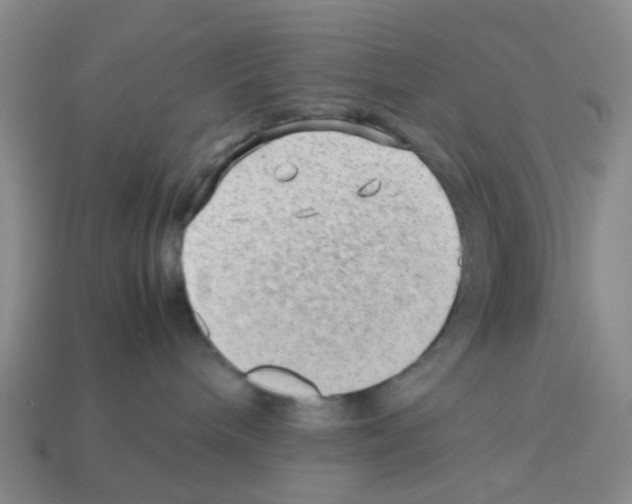 X0000112810240200910021147