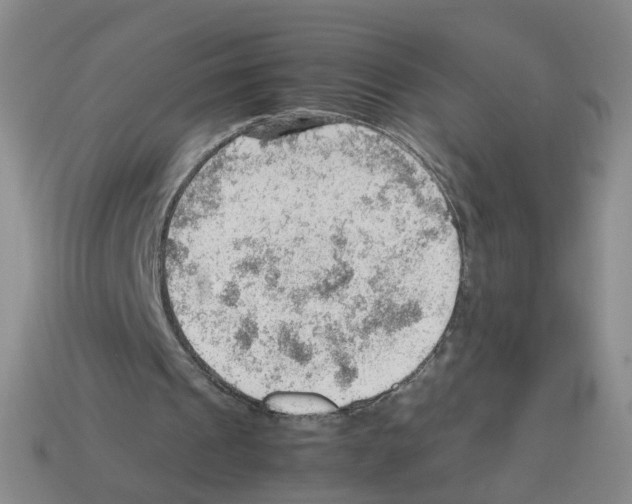 X0000112810241200910021146