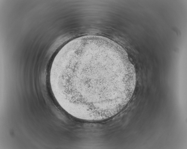 X0000112810242200910021146