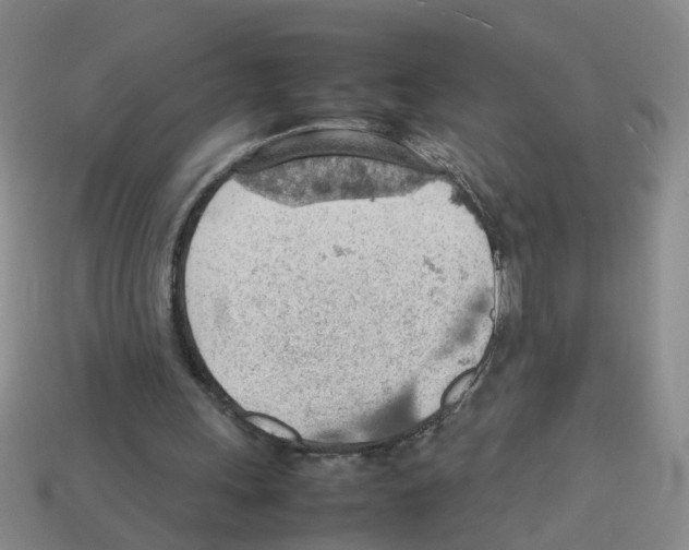 X0000112810243200910021146