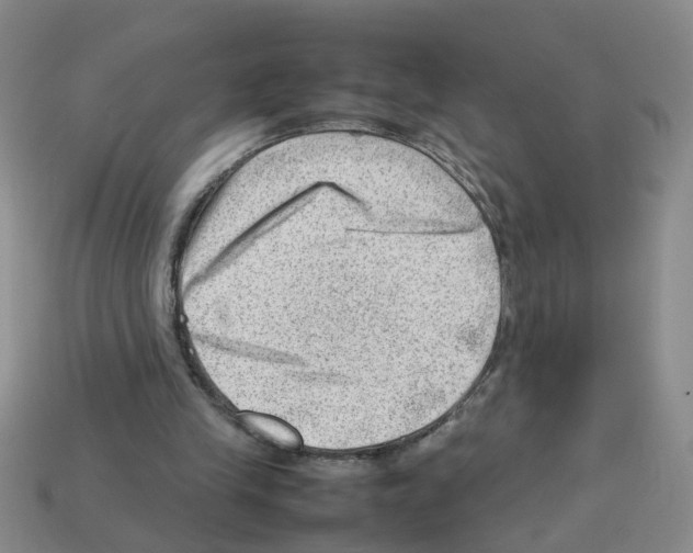 X0000112810245200910021146