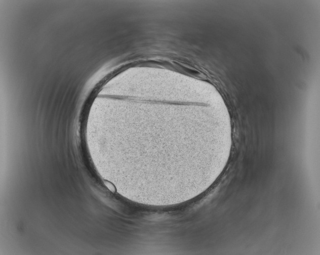 X0000112810246200910021146