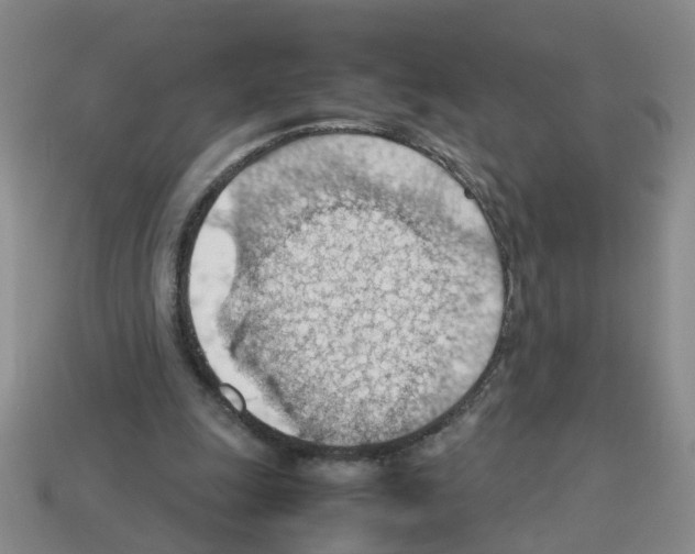 X0000112810247200910021146