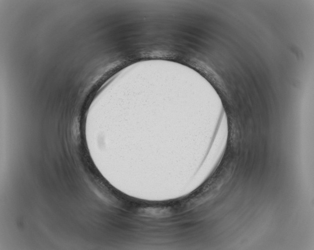 X0000112810251200910021146
