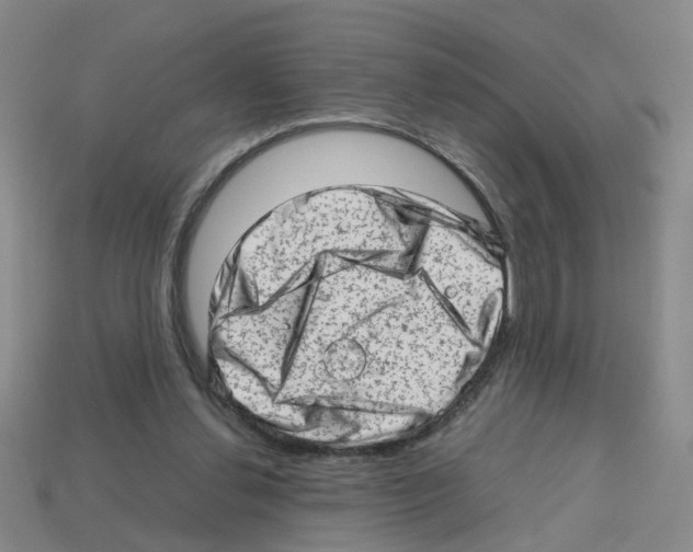 X0000112810252200910021146