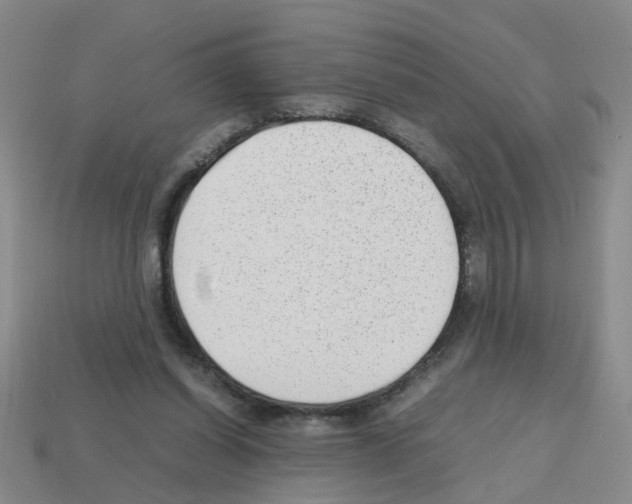 X0000112810254200910021147