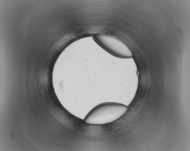 X0000112810256200910021147