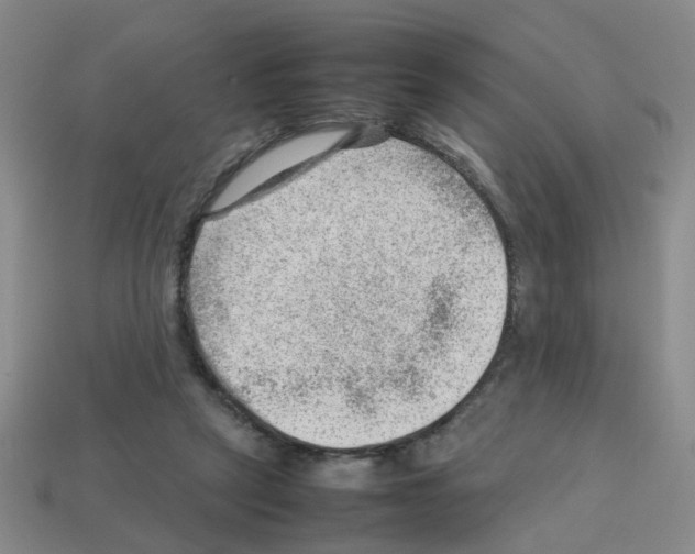 X0000112810257200910021147