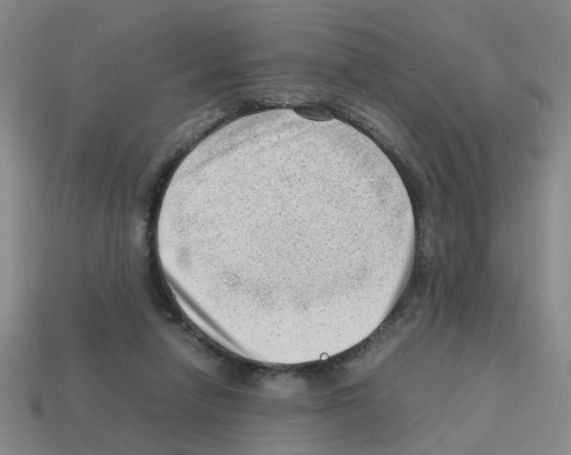 X0000112810258200910021147