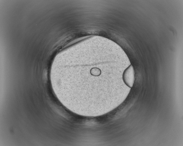 X0000112810262200910021147