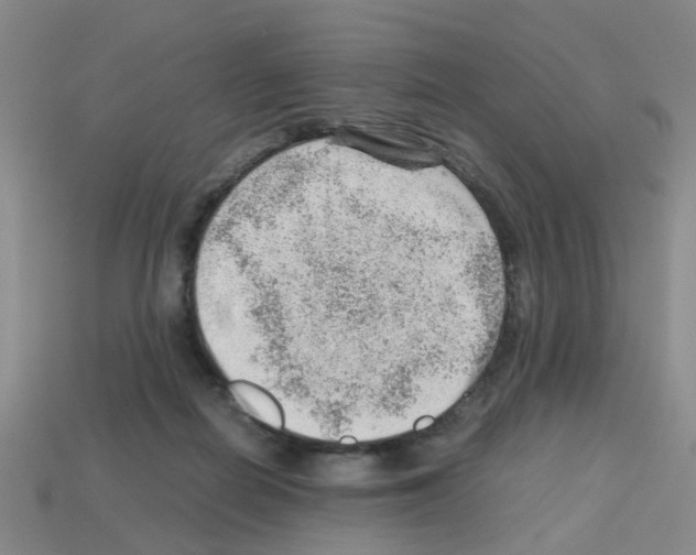 X0000112810266200910021147