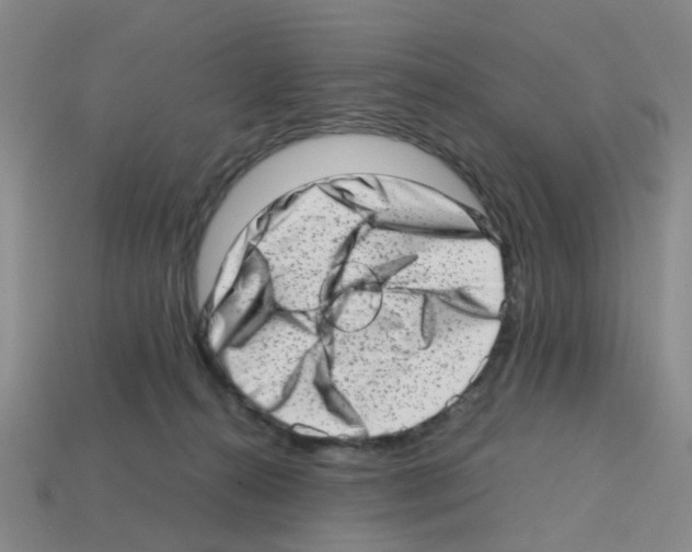X0000112810272200910021147