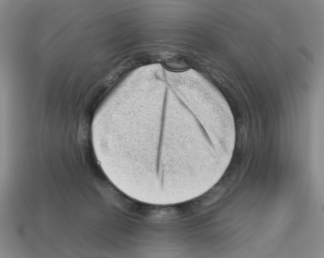 X0000112810274200910021147