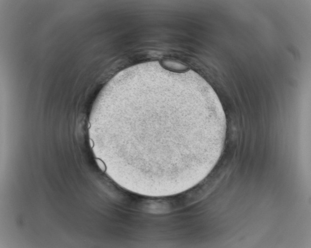 X0000112810275200910021147