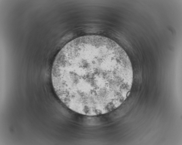 X0000112810277200910021147