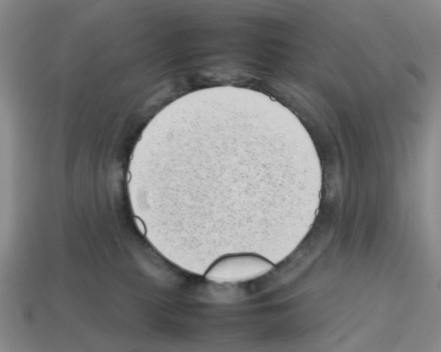 X0000112810279200910021147