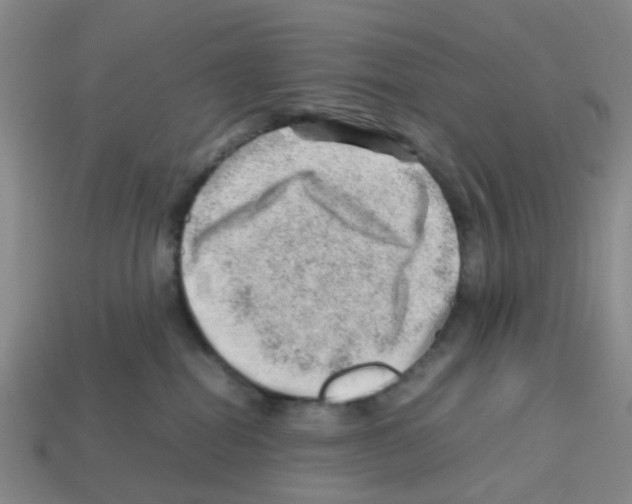 X0000112810282200910021147