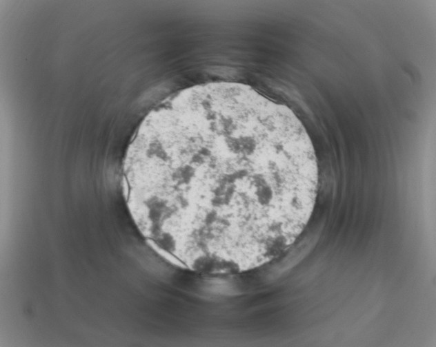 X0000112810285200910021147