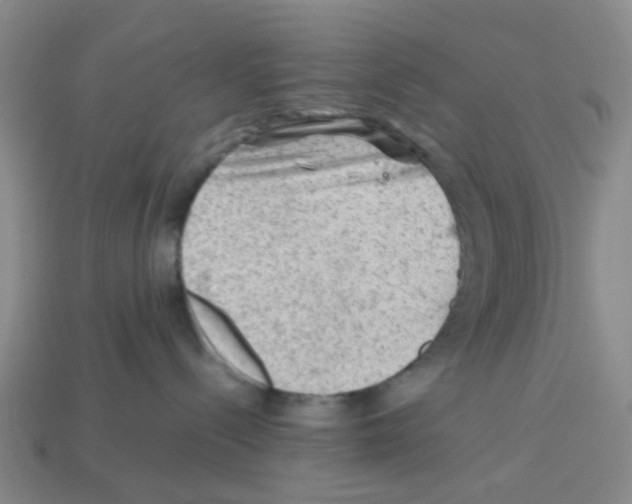 X0000112810288200910021147