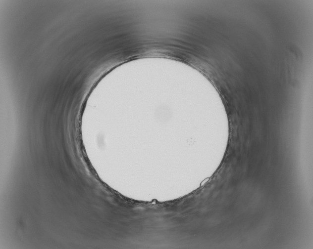 X0000112810289200910021146