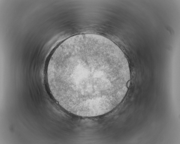 X0000112810290200910021146