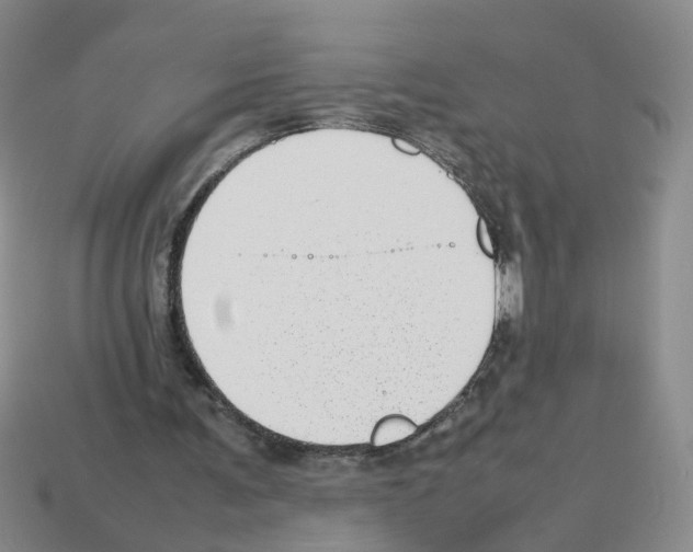 X0000112810291200910021146