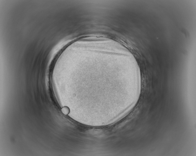 X0000112810294200910021146