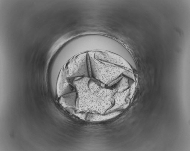 X0000112810296200910021146