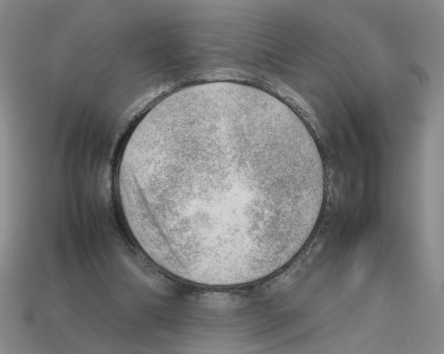 X0000112810298200910021146