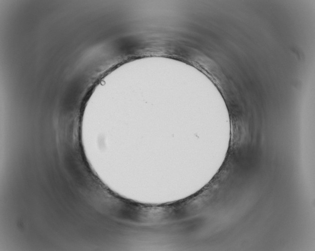 X0000112810301200910021146