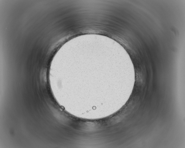 X0000112810302200910021146