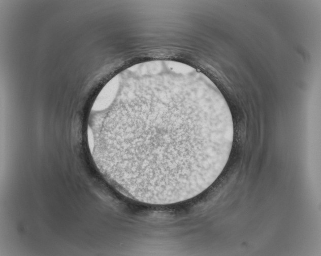 X0000112810303200910021146