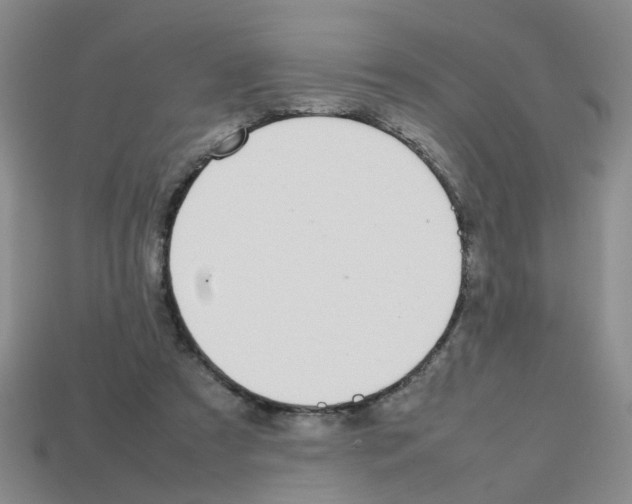 X0000112810305200910021146