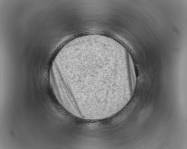 X0000112810306200910021146