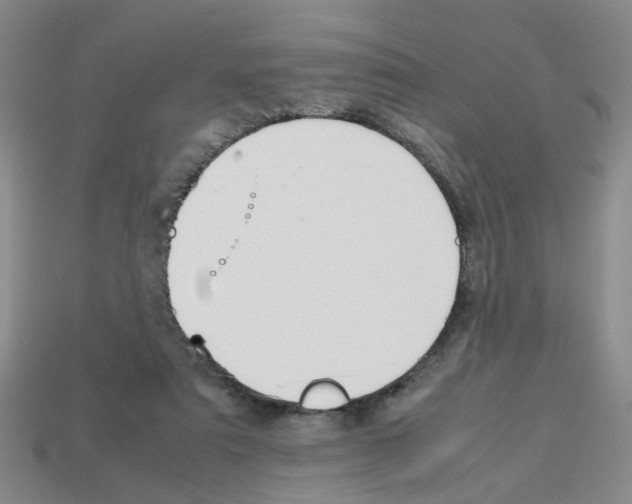 X0000112810307200910021146