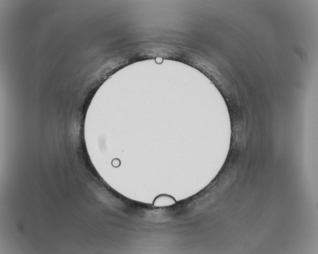 X0000112810309200910021146