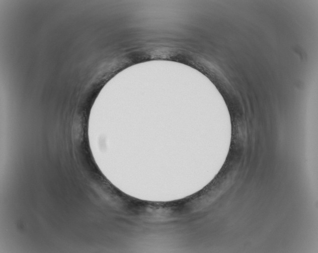 X0000112810311200910021146