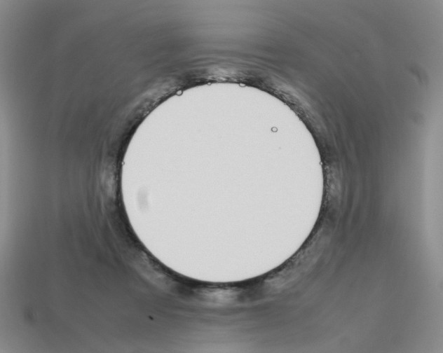 X0000112810313200910021146