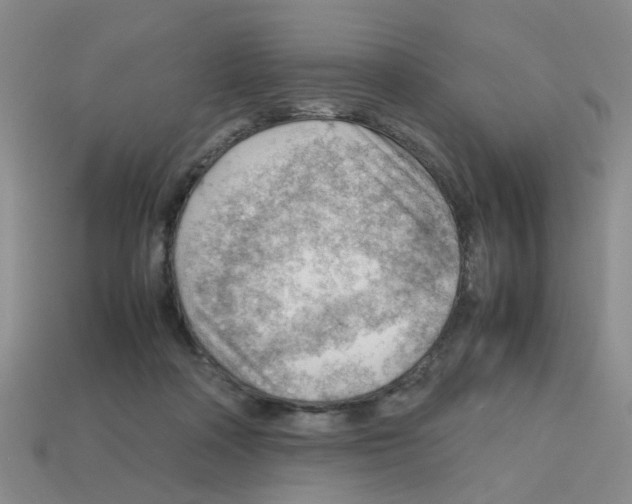 X0000112810314200910021146