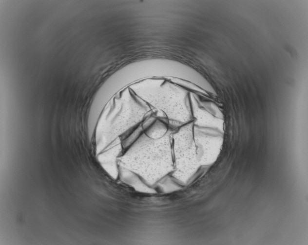 X0000112810320200910021146