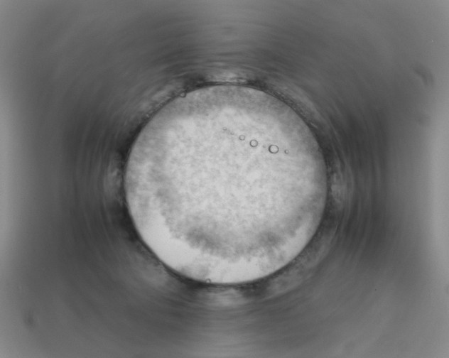 X0000112810322200910021146