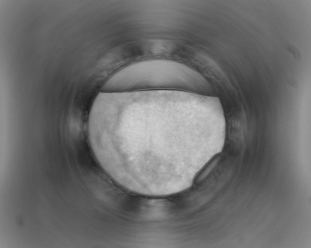 X0000112810324200910021146