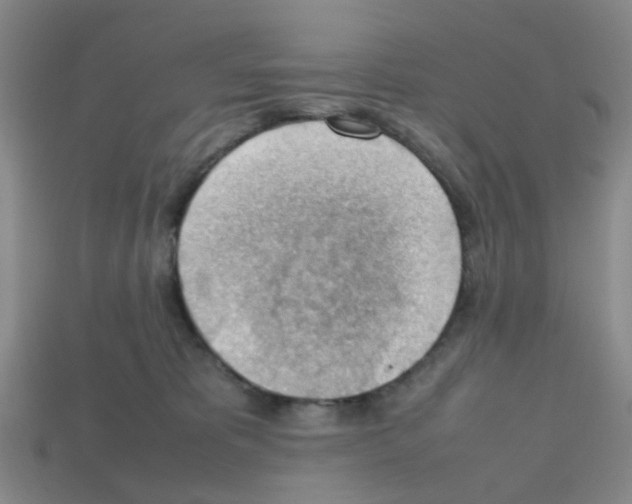 X0000112810325200910021146