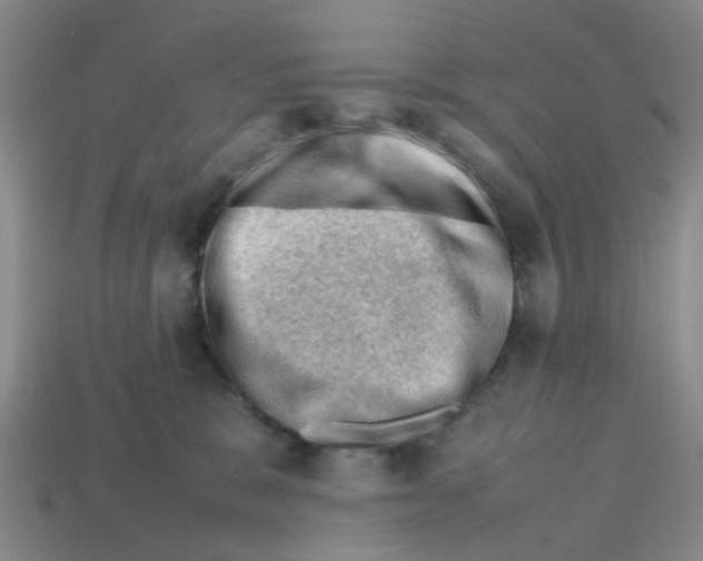 X0000112810327200910021146