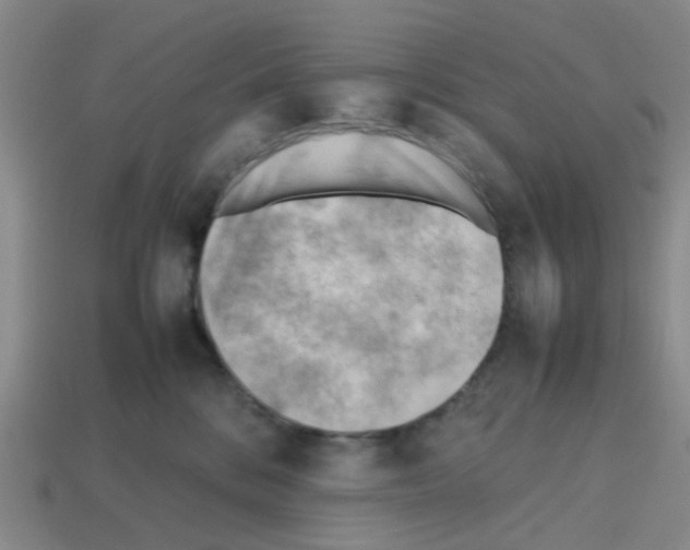 X0000112810328200910021146
