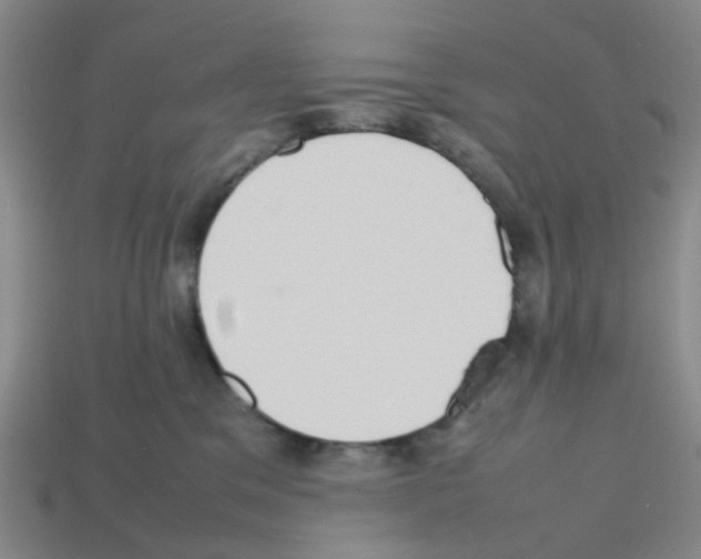 X0000112810329200910021146