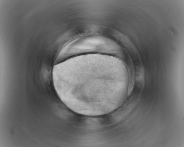 X0000112810332200910021146